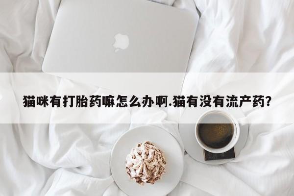 堕胎药怎么购买猫咪有打胎药嘛怎么办啊.猫有没有流产药？