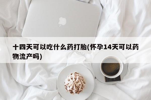 堕胎药怎么购买十四天可以吃什么药打胎(怀孕14天可以药物流产吗)